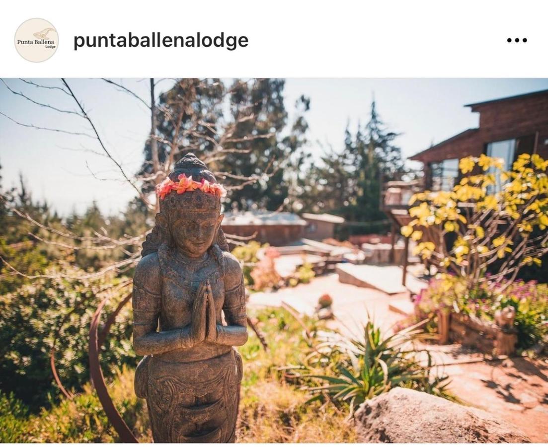 Punta Ballena Lodge Pichilemu Kültér fotó
