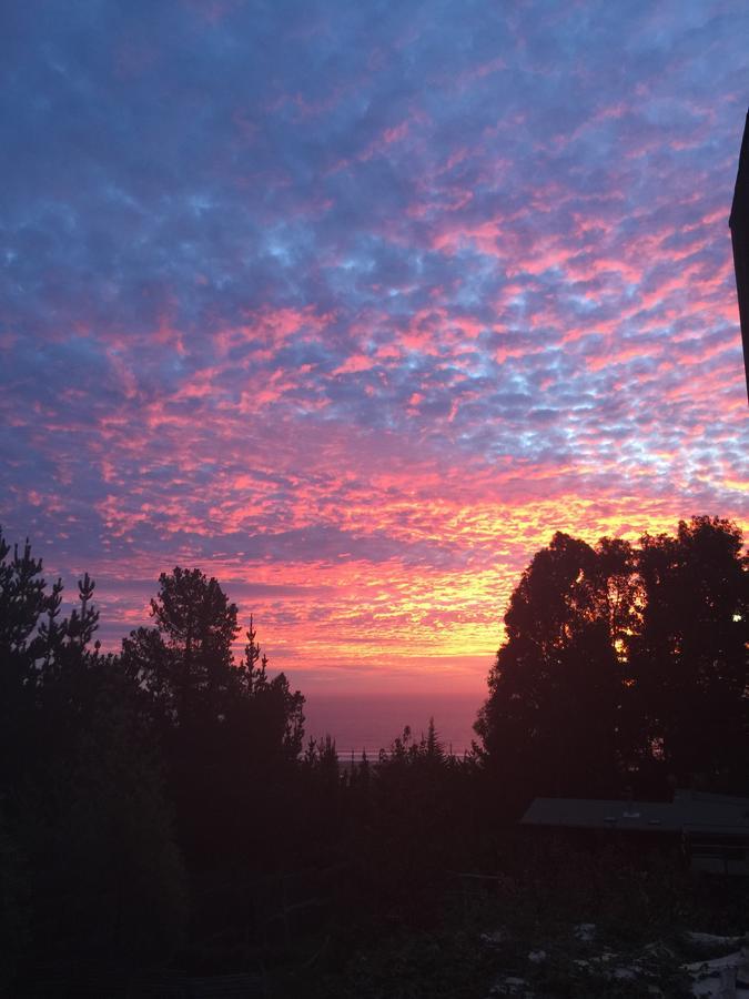Punta Ballena Lodge Pichilemu Kültér fotó